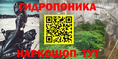 герыч Новозыбков