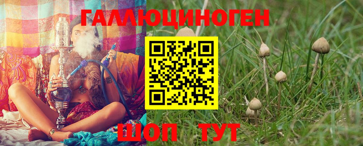 купить  сайты  Вход с VPN  Тула  Галлюциногенные грибы Magic Shrooms 