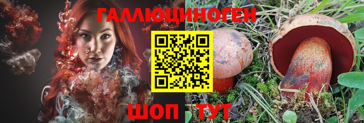 Псилоцибиновые грибы GOLDEN TEACHER Тула